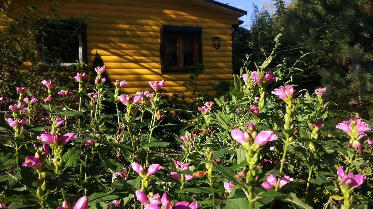 Dacha №1 In Peredelkino Villa Moscow Holiday home